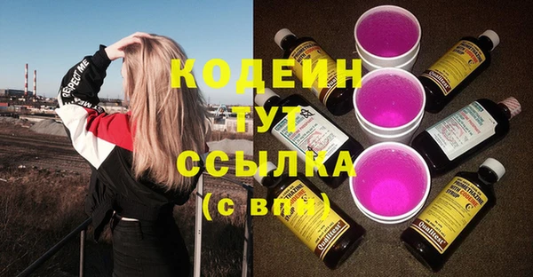 соль ск Елизово