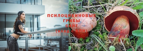 дживик Алзамай